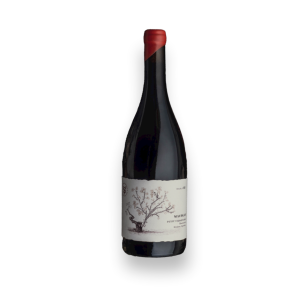 Macollo Petit Verdot *750ml Bot Conica