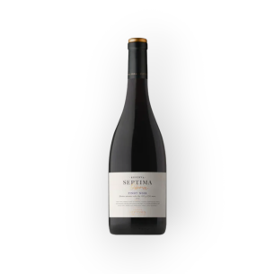 Septima Obra Reserva Pinot Noir *750ml 